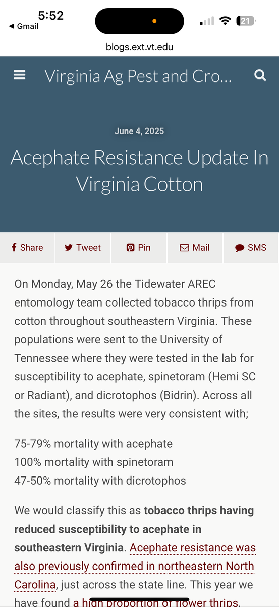 On Monday, May 26 the Tidewater AREC entomology team collected tobacco thrips from cotton throughout southeastern Virginia. These populations were sent to the University of Tennessee where they were tested in the lab for susceptibility to acephate, spinetoram (Hemi SC or Radiant), and dicrotophos (Bidrin). Across all the sites, the results were very consistent with, 75-79% mortality with acephate 100% mortality with spinetoram 47-50% mortality with dicrotophos We would classify this as tobacco thrips having reduced susceptibility to acephate in southeastern Virginia.