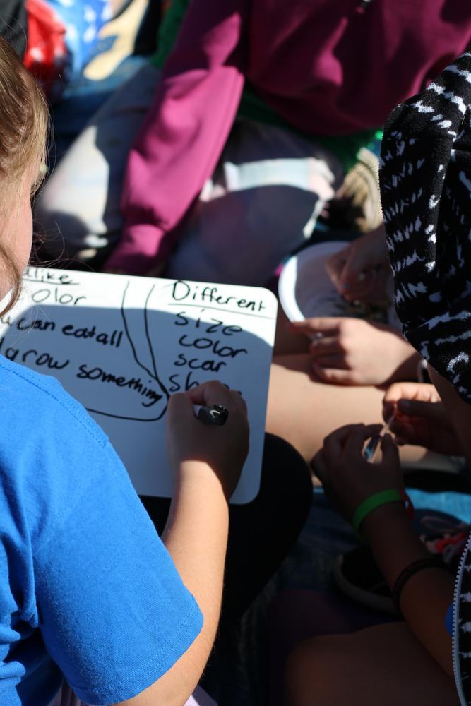 youth participating in outdoor STEM learning