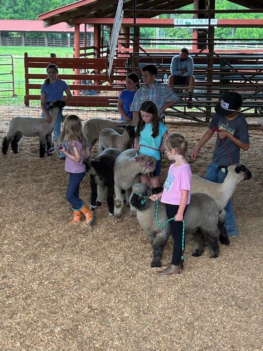 Lamb Workouts