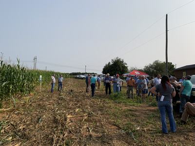 The Randolph County Corn Field day, people stand at the edge of a corn field.