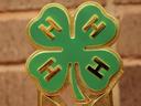 Green four-leaf clover pin with a gold H on each leaf