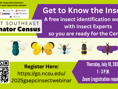 Get to Know the Insects! Free insect identification webinar — July 10, 2025, 1–3 P.M., Zoom