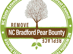 Bradford Pear Bounty Logo