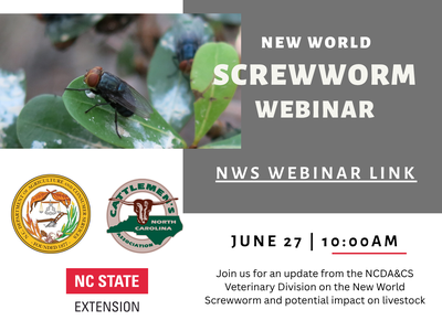 Flier with event details