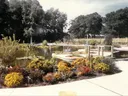 Arboretum Pond in 1980s