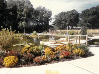 Arboretum Pond in 1980s