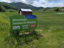 Mountain Research Station sign