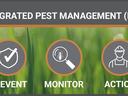 Integrated Pest Management (IPM) banner with icons and text: Prevent, Monitor, Action over grass