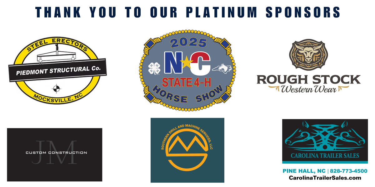 List of Platinum Sponsors for the event.