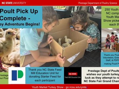 collage about poult pickup