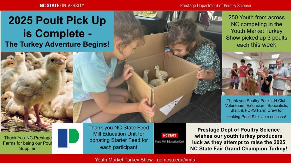 collage about poult pickup