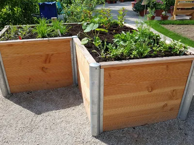 Raised vegetable beds