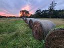 Piedmont Field with Hay Bales