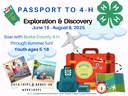 Summer Fun Flyer