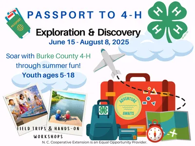 Summer Fun Flyer