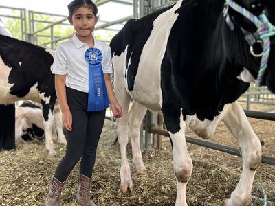 Victoria Vargas proudly standing with her dairy calf and first place ribbon
