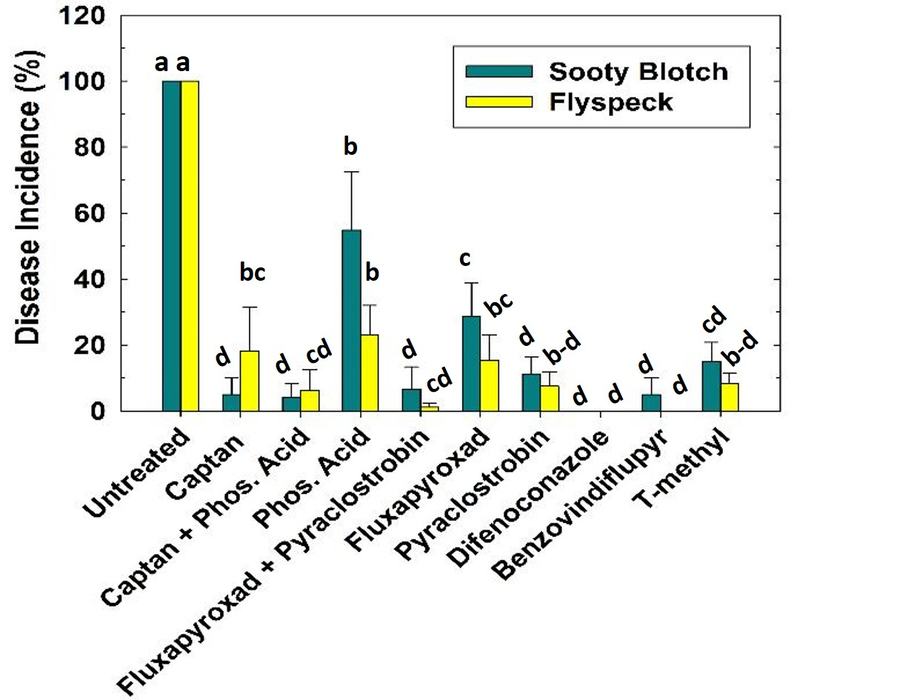 Efficacy of different fungicides for controlling FSSB
