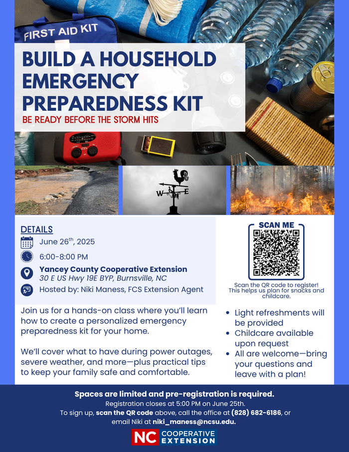 Household Emergency Kit Flyer