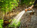 Hand holding garden hose spraying water onto raised vegetable bed