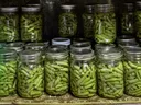 CANNING 101 text over a shelf of mason jars filled with canned green beans