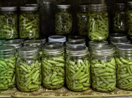 CANNING 101 text over a shelf of mason jars filled with canned green beans