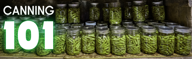 green beans in jars on a shelf