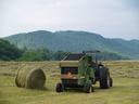 baling hay