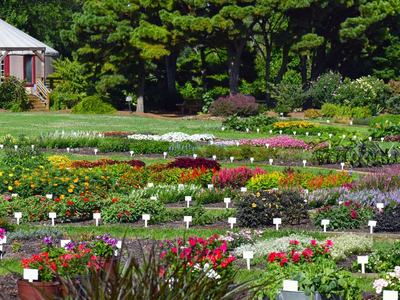 Botanical garden beds with labeled flower plots and a yurt in background
