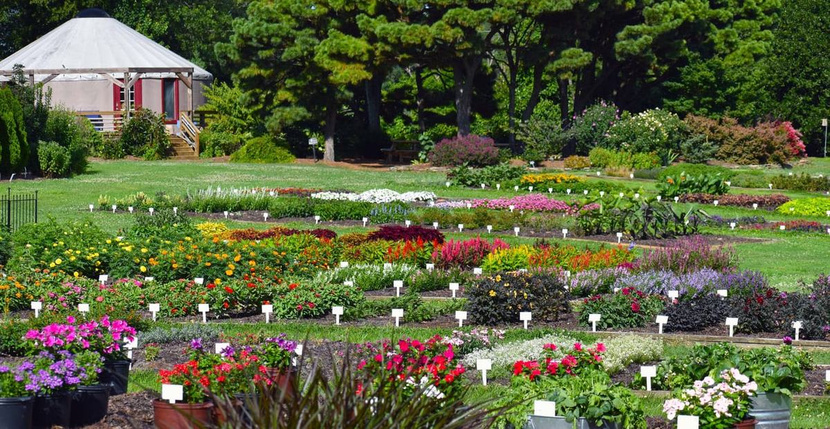 JC Raulston Arboretum flower beds planted with various colored flowering plants.