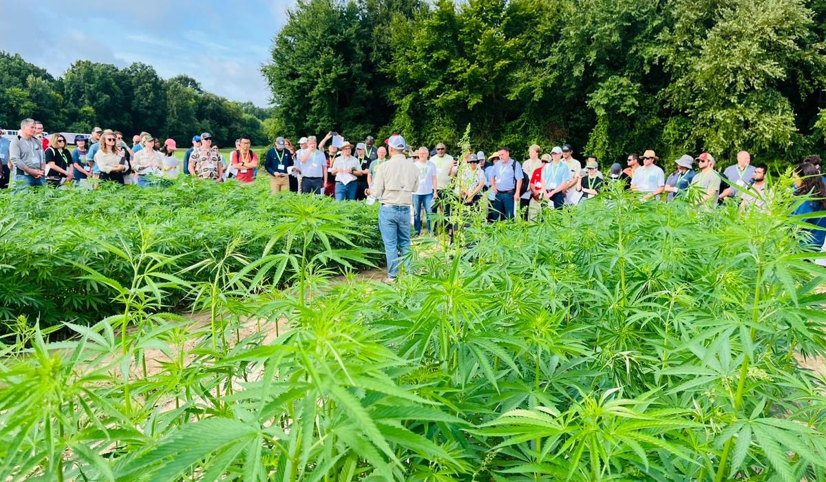 Join Us for the 2025 NC State Hemp Grain and Fiber Field Day on August ...
