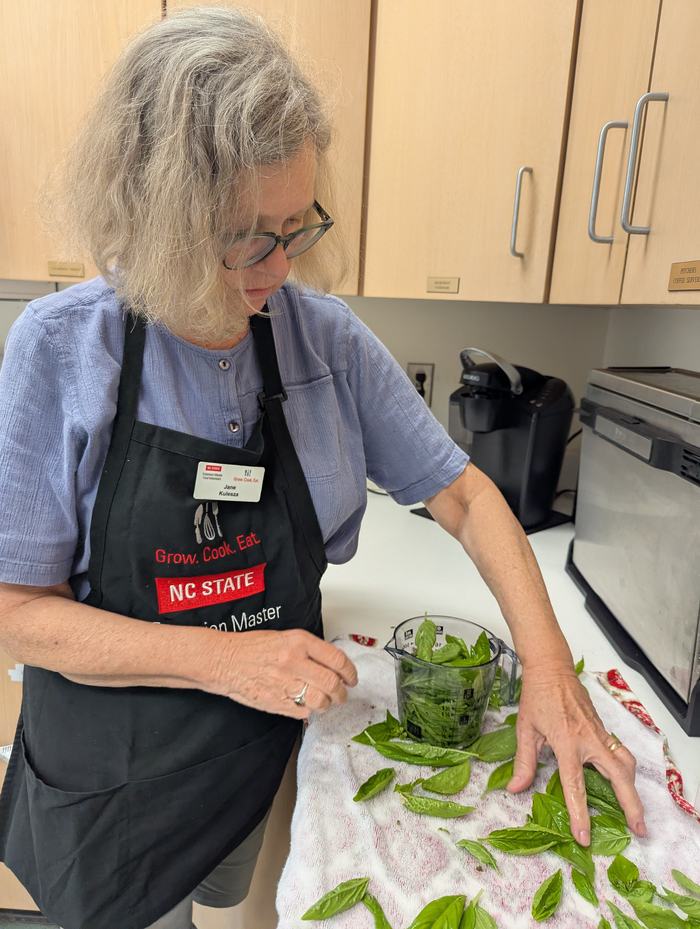 A woman cleans and prepares fresh basil leaves.