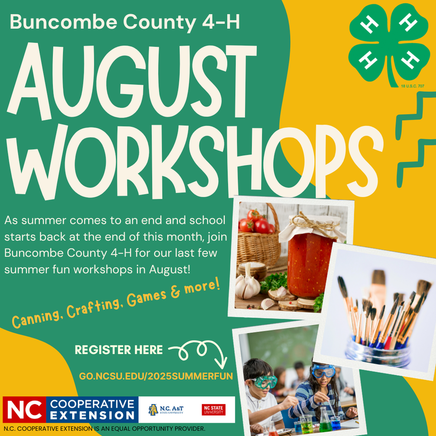 August Workshops