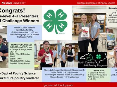 egg chef challenge collage