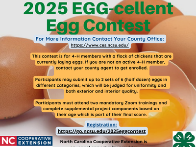 2025 EGG-cellent Egg Contest — Registration now open; cracked egg background