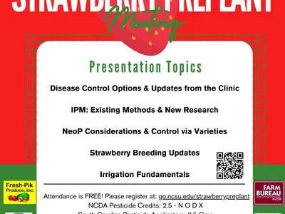 2025 Regional Strawberry Preplant Meeting flyer — Nash County Agriculture Center, Aug 19, 5–8PM