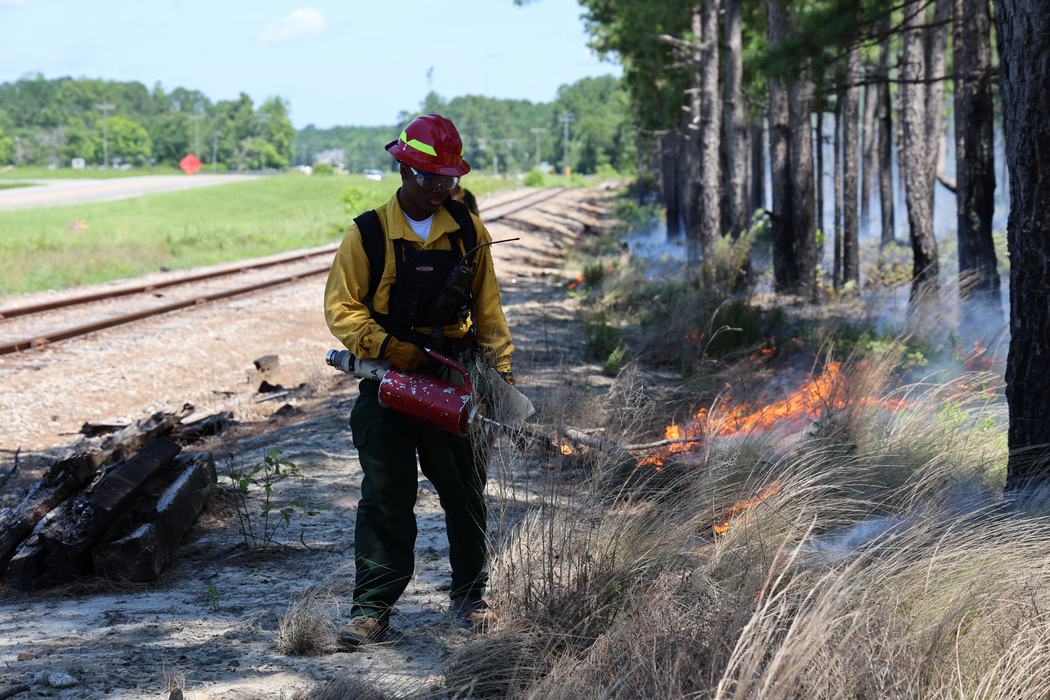 NC State Forest Management student uses a drip torch to ignite a fire line during a prescribed burn with The Nature Conservancy.