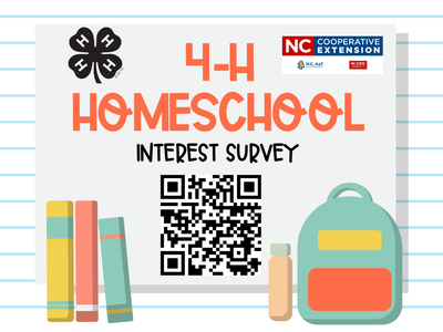 4-H Homeschool Internet Survey