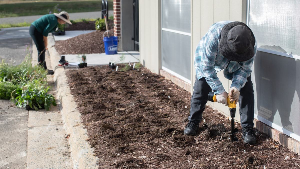 EMG volunteers prepare empty gardening beds for planting.