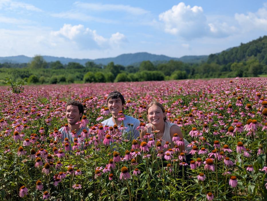 Three interns in a field of purple flowers with blue sky 