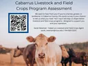 needs assessment flyer