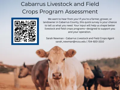 needs assessment flyer