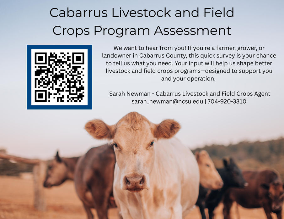 needs assessment flyer