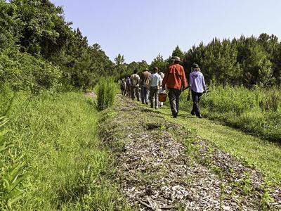 NC State Extension agroforestry farm tour Durham County forest farming alley cropping