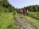 NC State Extension agroforestry farm tour Durham County forest farming alley cropping