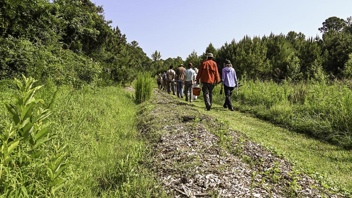NC State Extension agroforestry farm tour Durham County forest farming alley cropping