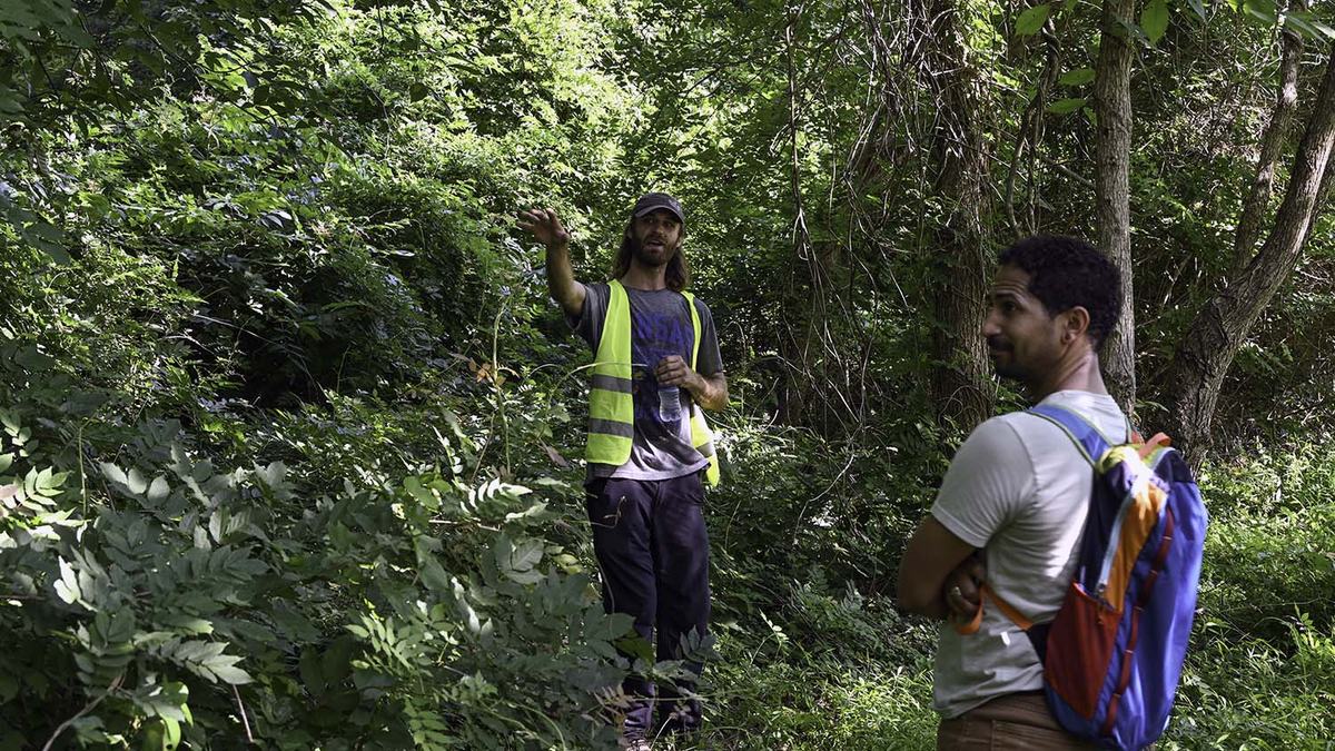 NC State Extension agroforestry farm tour Durham County forest farming alley cropping