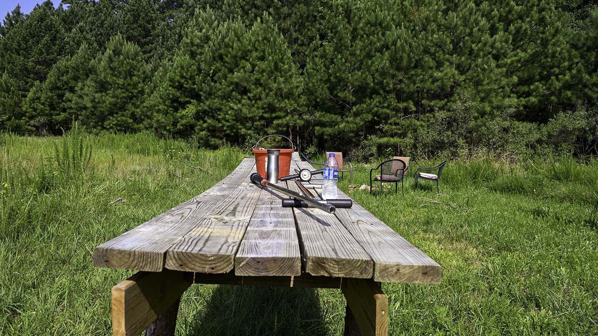NC State Extension agroforestry farm tour Durham County forest farming alley cropping