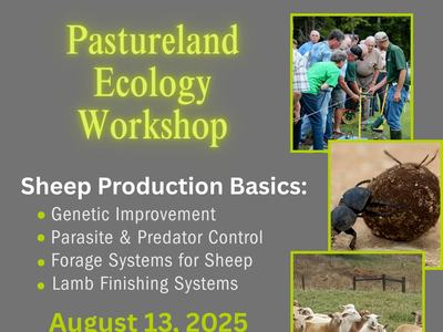 Flyer for event which includes images of sheep and Cattlemen's assocication logo