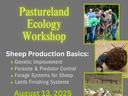 Flyer for event which includes images of sheep and Cattlemen's assocication logo
