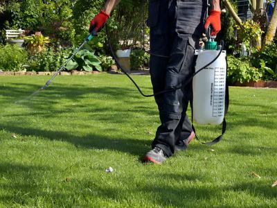 Person walking on lawn spraying with handheld pump garden sprayer